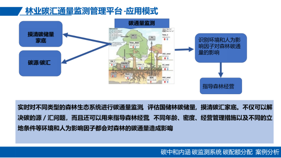 陈锦焕：党建引领下碳排放监测与碳配额管理