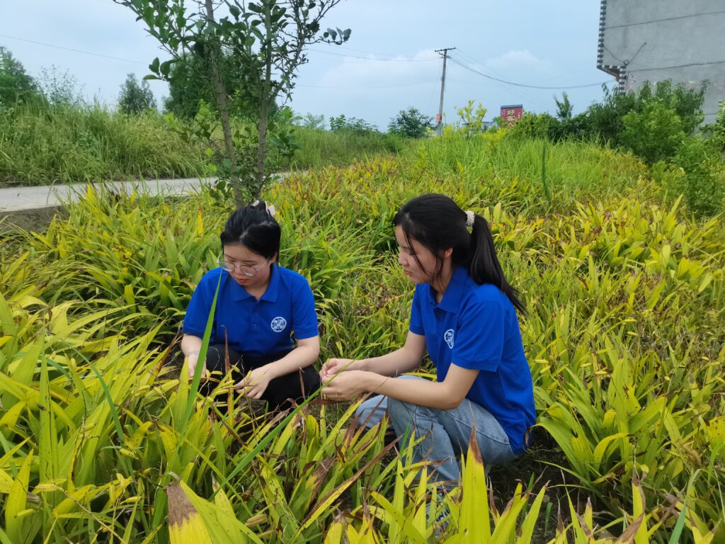 “中药助力乡村振兴，青春赋能美丽安康”—西安邮电大学现代邮政学院师生赴陕西安康开展暑期社会实践