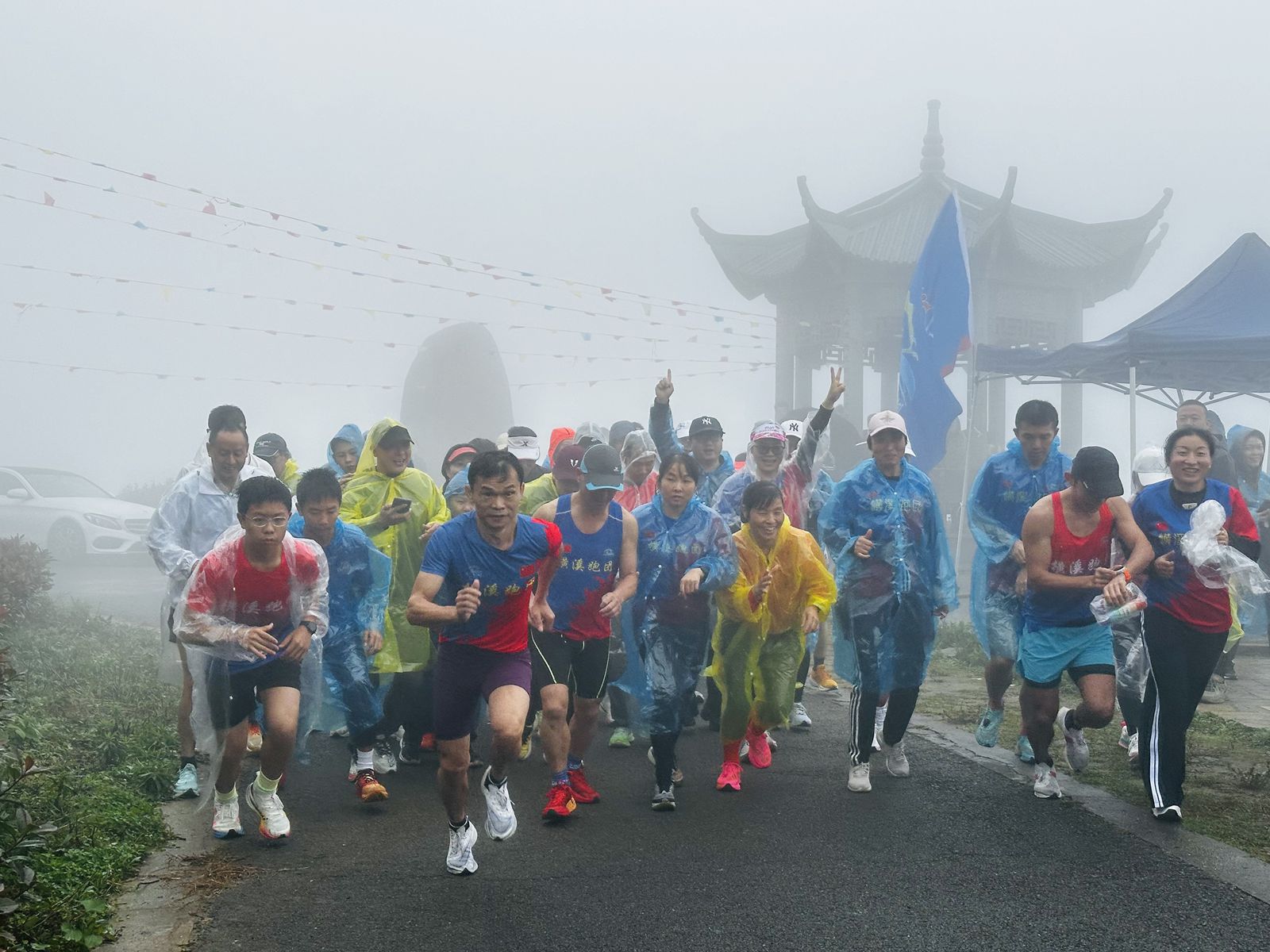 宁波杨山村旅游节启航 生态红茶绽放光彩