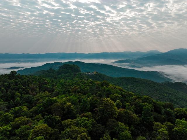 首届茶叶仓储窖藏峰会将在景迈山举办